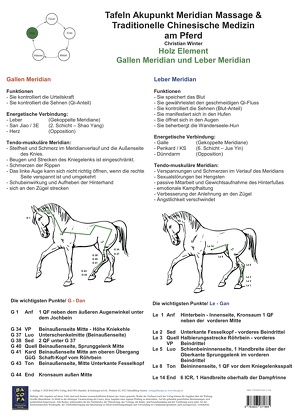 Holz Element. Gallen und Leber Meridian. von Winter,  Christian