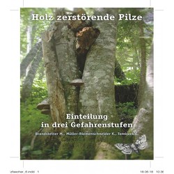 Holz zerstörende Pilze von Brandstetter,  Martin, Müller-Riemenschneider,  Katrin, Tomiczek,  Christian