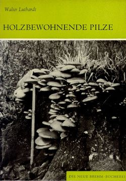 Holzbewohnende Pilze von Luthardt,  Walter