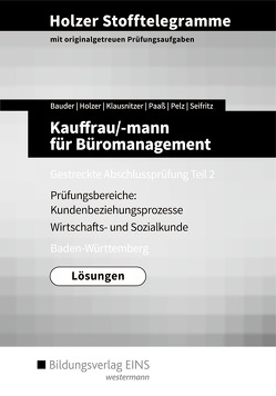 Holzer Stofftelegramme Baden-Württemberg / Holzer Stofftelegramme Baden-Württemberg – Kauffrau/-mann für Büromanagement von Bauder,  Markus, Holzer,  Volker, Klausnitzer,  Lars, Kopp,  Holger, Paaß,  Thomas, Pelz,  Marianne, Seifritz,  Christian