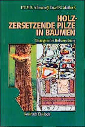 Holzzersetzende Pilze in Bäumen von Engels,  Julia, Mattheck,  Claus, Schwarze,  Francis