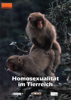 Homosexualität im Tierreich