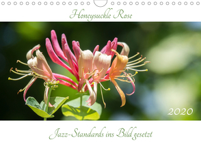 Honeysuckle Rose – Jazz-Standards ins Bild gesetzt (Wandkalender 2020 DIN A4 quer) von Rohwer,  Klaus