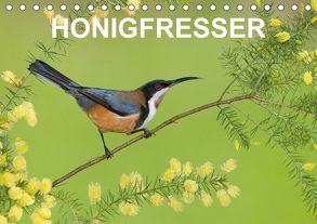 Honigfresser (Tischkalender 2018 DIN A5 quer) von birdimagency,  BIA