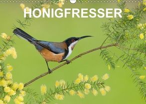 Honigfresser (Wandkalender 2018 DIN A3 quer) von birdimagency,  BIA