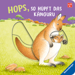 Hops, so hüpft das Känguru von Jelenkovich,  Barbara, Nahrgang,  Frauke