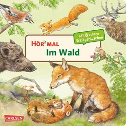 Hör mal (Soundbuch): Im Wald von Möller,  Anne