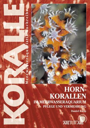 Hornkorallen im Meerwasseraquarium von Knop,  Daniel