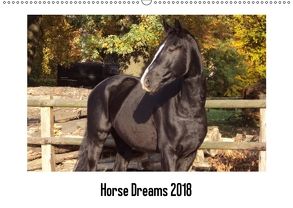 Horse Dreams (Wandkalender 2018 DIN A2 quer) von Meding,  Cerstin