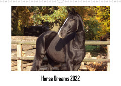 Horse Dreams (Wandkalender 2022 DIN A3 quer) von Meding,  Cerstin