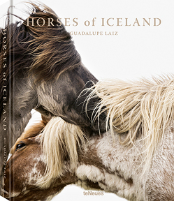 Horses of Iceland von Laiz,  Guadalupe