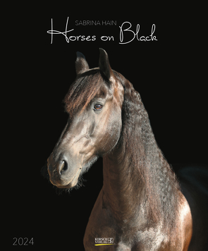 Horses on Black 2024 von Hain,  Sabrina, Korsch Verlag