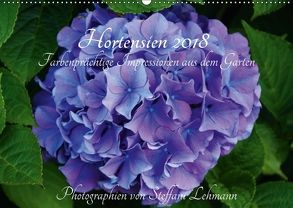 Hortensien 2018 – Farbenprächtige Impressionen aus dem Garten (Wandkalender 2018 DIN A2 quer) von Lehmann,  Steffani