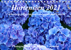 Hortensien 2021. Farbenprächtige Impressionen aus dem Garten (Tischkalender 2021 DIN A5 quer) von Lehmann,  Steffani