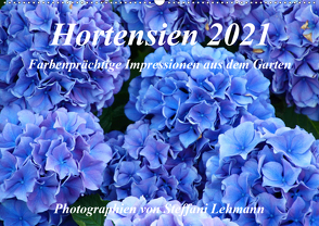 Hortensien 2021. Farbenprächtige Impressionen aus dem Garten (Wandkalender 2021 DIN A2 quer) von Lehmann,  Steffani