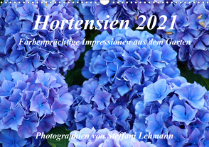Hortensien 2021. Farbenprächtige Impressionen aus dem Garten (Wandkalender 2021 DIN A3 quer) von Lehmann,  Steffani