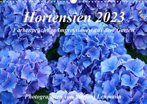Hortensien 2023. Farbenprächtige Impressionen aus dem Garten (Wandkalender 2023 DIN A3 quer) von Lehmann,  Steffani