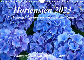 Hortensien 2023. Farbenprächtige Impressionen aus dem Garten (Wandkalender 2023 DIN A4 quer) von Lehmann,  Steffani