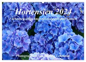 Hortensien 2024. Farbenprächtige Impressionen aus dem Garten (Wandkalender 2024 DIN A2 quer), CALVENDO Monatskalender von Lehmann,  Steffani