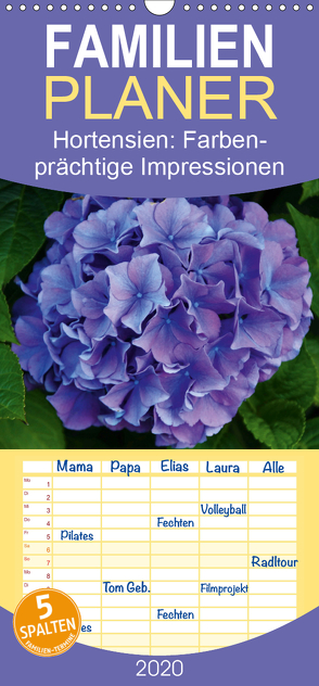 Hortensien – Farbenprächtige Impressionen aus dem Garten – Familienplaner hoch (Wandkalender 2020 , 21 cm x 45 cm, hoch) von Lehmann,  Steffani