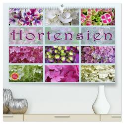 Hortensien / Geburtstagskalender (hochwertiger Premium Wandkalender 2024 DIN A2 quer), Kunstdruck in Hochglanz von Cross,  Martina