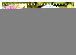 Hortensien. Zauberhafte Blütenpracht (Tischkalender 2024 DIN A5 quer), CALVENDO Monatskalender von Hurley,  Rose