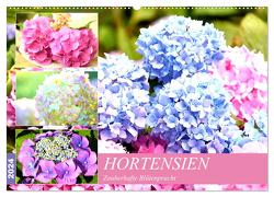Hortensien. Zauberhafte Blütenpracht (Wandkalender 2024 DIN A2 quer), CALVENDO Monatskalender von Hurley,  Rose
