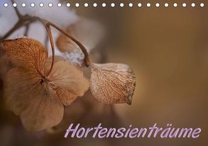 Hortensienträume (Tischkalender 2019 DIN A5 quer) von Petra Voß,  ppicture-