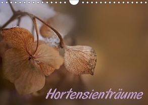 Hortensienträume (Wandkalender 2018 DIN A4 quer) von Petra Voß,  ppicture-