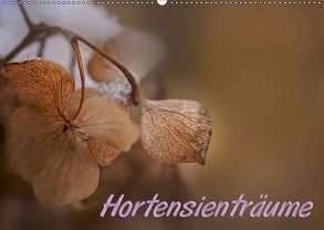 Hortensienträume (Wandkalender 2019 DIN A2 quer) von Petra Voß,  ppicture-