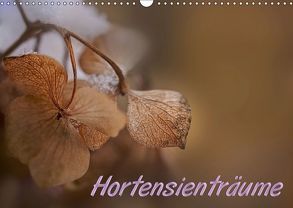 Hortensienträume (Wandkalender 2019 DIN A3 quer) von Petra Voß,  ppicture-