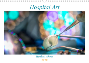 Hospital Art (Wandkalender 2020 DIN A3 quer) von Lensviper