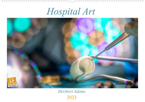 Hospital Art (Wandkalender 2023 DIN A2 quer) von Adams Lensviper,  Heribert