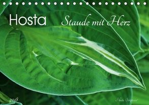 Hosta Staude mit Herz (Tischkalender 2018 DIN A5 quer) von Heußlein,  Jutta