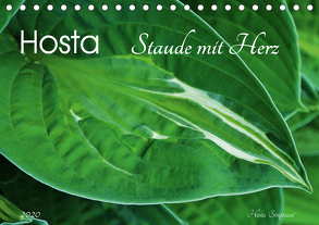 Hosta Staude mit Herz (Tischkalender 2020 DIN A5 quer) von Heußlein,  Jutta