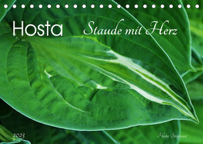 Hosta Staude mit Herz (Tischkalender 2023 DIN A5 quer) von Heußlein,  Jutta