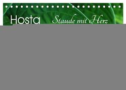 Hosta Staude mit Herz (Tischkalender 2024 DIN A5 quer), CALVENDO Monatskalender von Heußlein,  Jutta