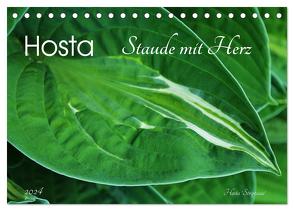 Hosta Staude mit Herz (Tischkalender 2024 DIN A5 quer), CALVENDO Monatskalender von Heußlein,  Jutta