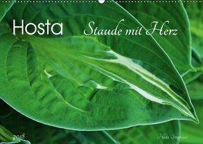 Hosta Staude mit Herz (Wandkalender 2018 DIN A2 quer) von Heußlein,  Jutta