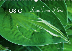 Hosta Staude mit Herz (Wandkalender 2021 DIN A3 quer) von Heußlein,  Jutta