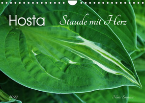 Hosta Staude mit Herz (Wandkalender 2023 DIN A4 quer) von Heußlein,  Jutta