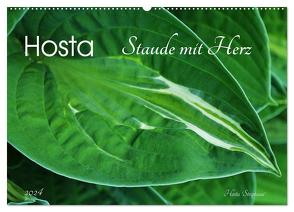 Hosta Staude mit Herz (Wandkalender 2024 DIN A2 quer), CALVENDO Monatskalender von Heußlein,  Jutta