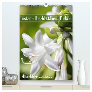 Hostas Herzblattlilien Funkien (hochwertiger Premium Wandkalender 2024 DIN A2 hoch), Kunstdruck in Hochglanz von Kruse,  Gisela