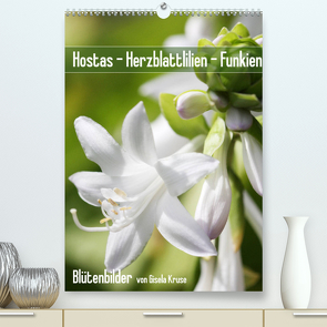 Hostas Herzblattlilien Funkien (Premium, hochwertiger DIN A2 Wandkalender 2022, Kunstdruck in Hochglanz) von Kruse,  Gisela