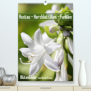 Hostas Herzblattlilien Funkien (Premium, hochwertiger DIN A2 Wandkalender 2023, Kunstdruck in Hochglanz) von Kruse,  Gisela