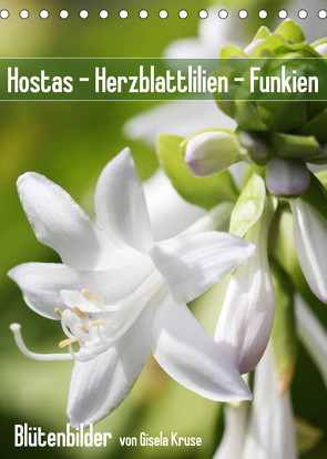 Hostas Herzblattlilien Funkien (Tischkalender 2023 DIN A5 hoch) von Kruse,  Gisela