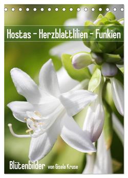 Hostas Herzblattlilien Funkien (Tischkalender 2024 DIN A5 hoch), CALVENDO Monatskalender von Kruse,  Gisela