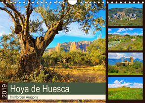 Hoya de Huesca – Im Norden Aragons (Wandkalender 2019 DIN A4 quer) von LianeM