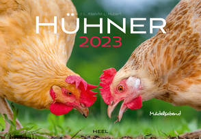 Hühner 2023 von Hubert,  M.-L., Klein,  J. L.