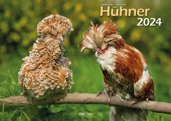 Hühner 2024 Bildkalender A3 quer – Judith Kiener & Oliver Giel von Giel,  Oliver, Klaes,  Holger